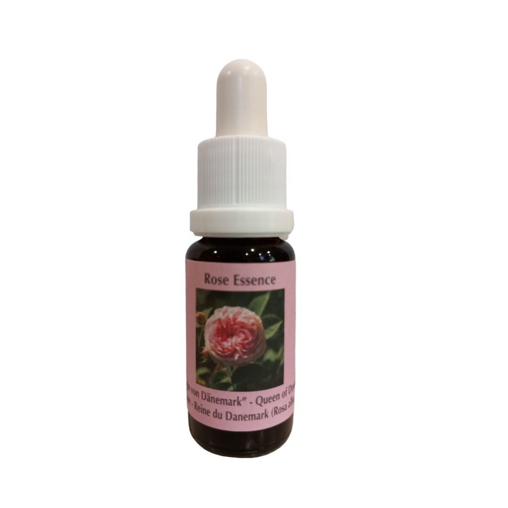 Königin von Dänemark Rose (Rosa alba) 15 ml