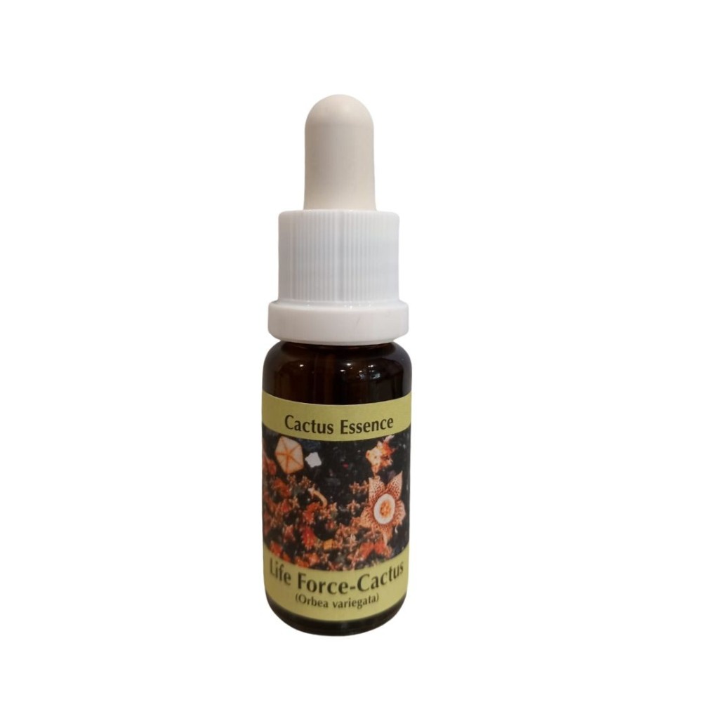 Lebenskraft-Kakteen 15 ml