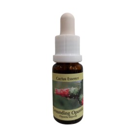 Esencia de Cactus - Opuntia Enraizante 15 ml