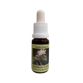 Esencia de cactus Korte - Cactus arándano 15 ml