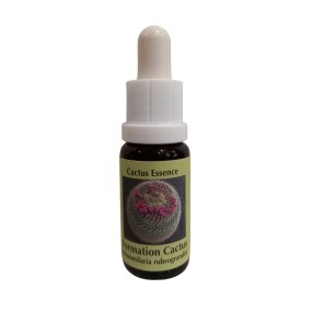 Formation Cactus 15ml