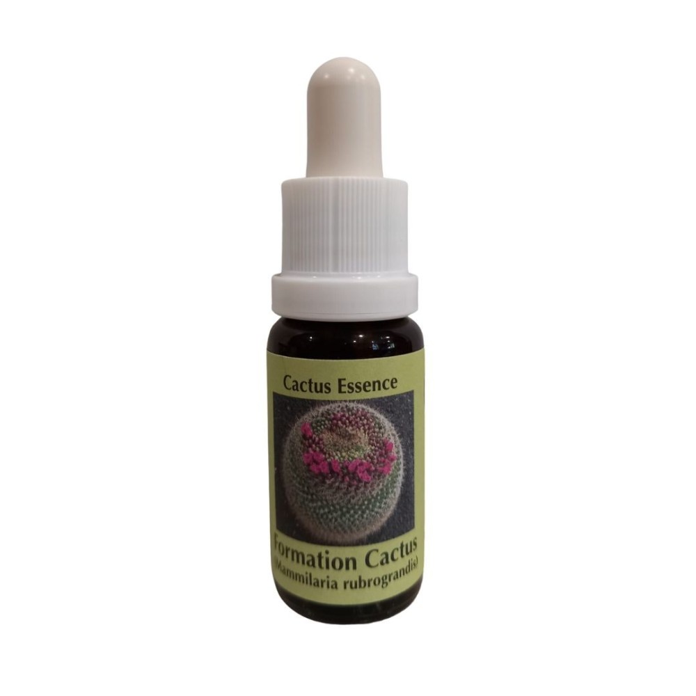 Formation Cactus 15 ml