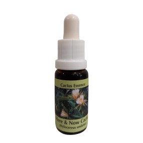 Esencia de cactus Here & Now 15 ml