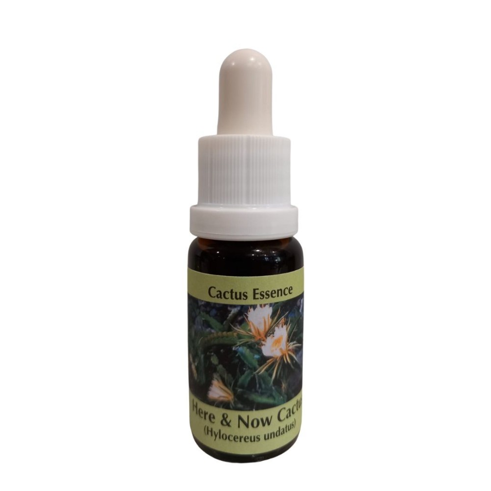 Here & Now Cactus 15 ml