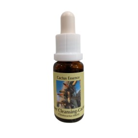 Esencia de Cactus Korte - Cactus Limpiador Interior 15 ml