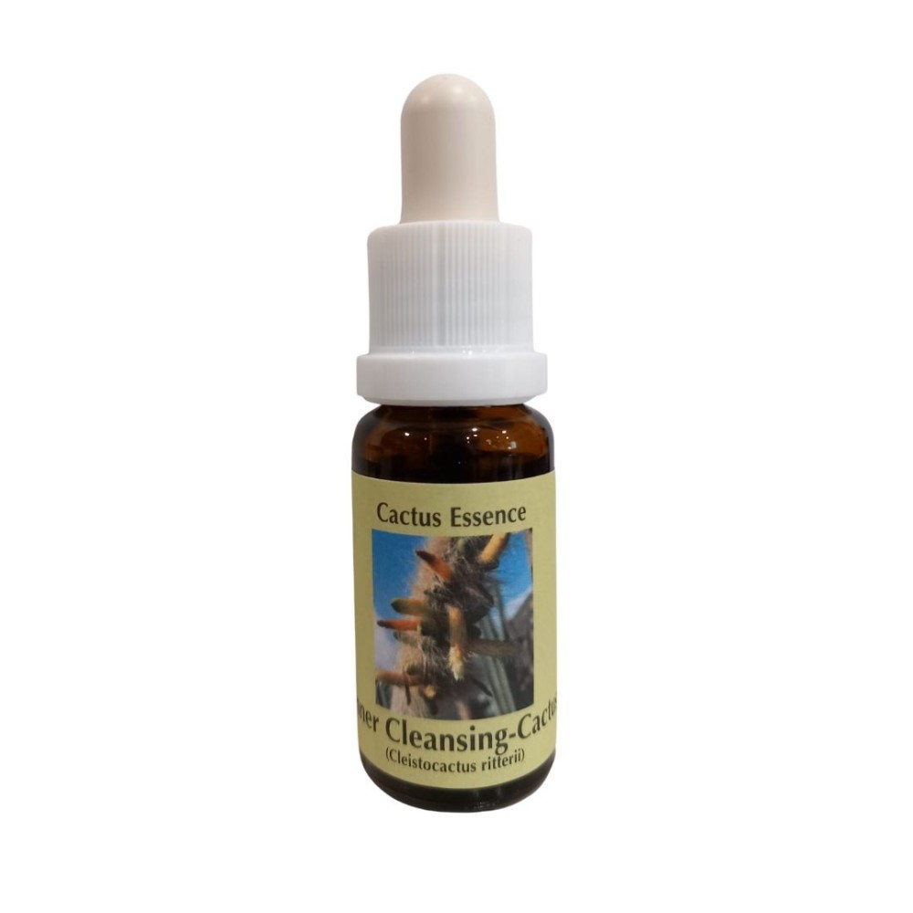 Limpieza Interior Cactus 15ml