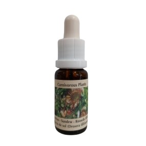 Carnivorous Plant Essence Korte - Sundew (Drosera filiformis) 15 ml