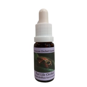 Past Life Orchid 15 ml