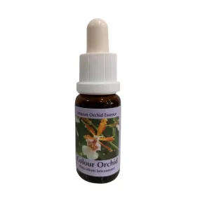Couleur Orchidée 15ml