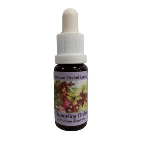 Korte Orchideenessenz – Channeling Orchid 15 ml