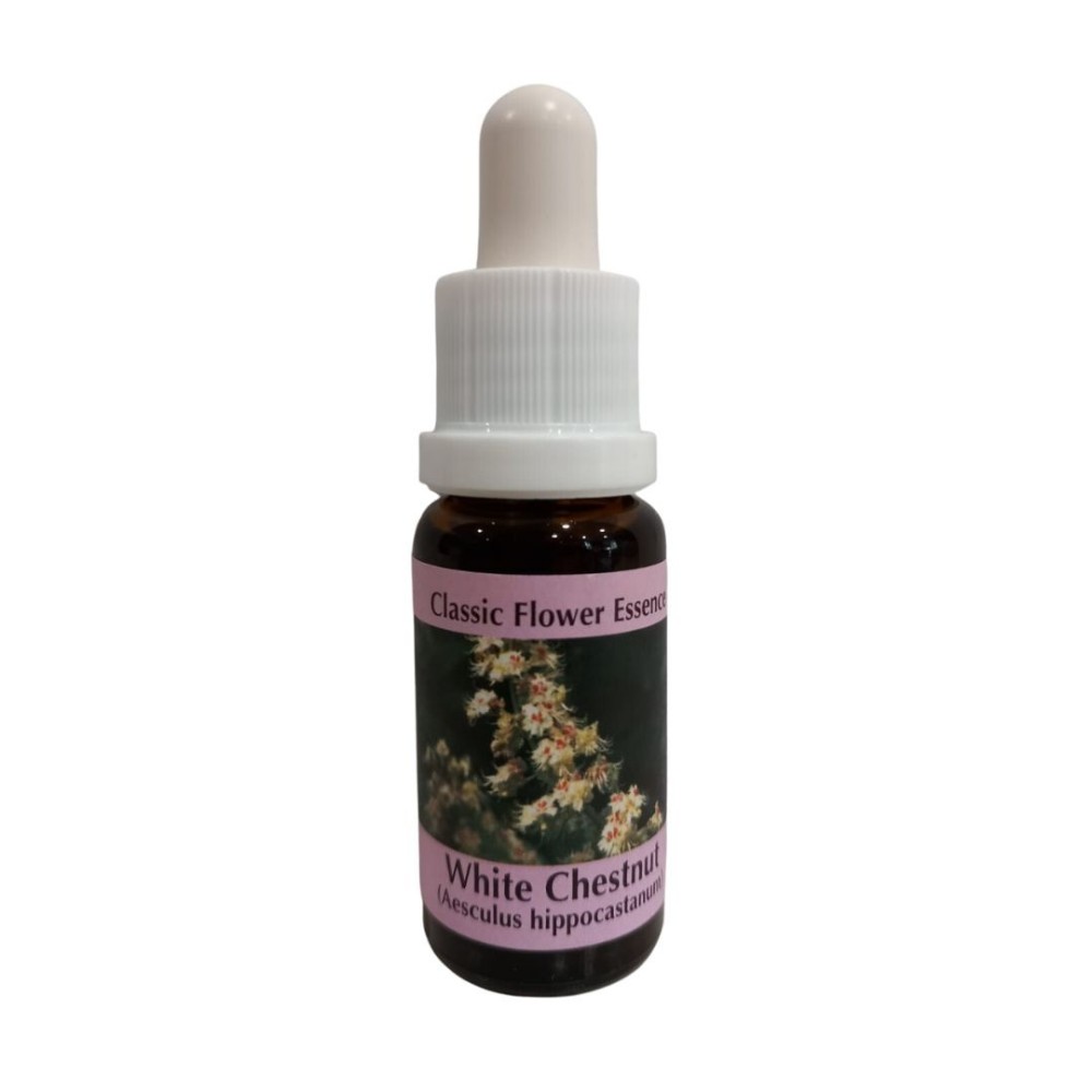 White Chestnut 15 ml