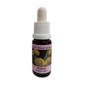 Bach Flower Essence Short - Walnut 15 ml