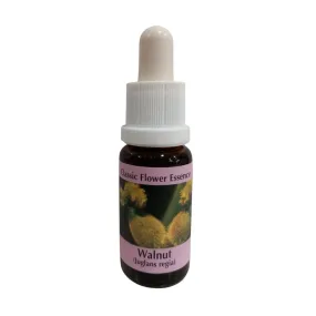 Walnüsse 15ml