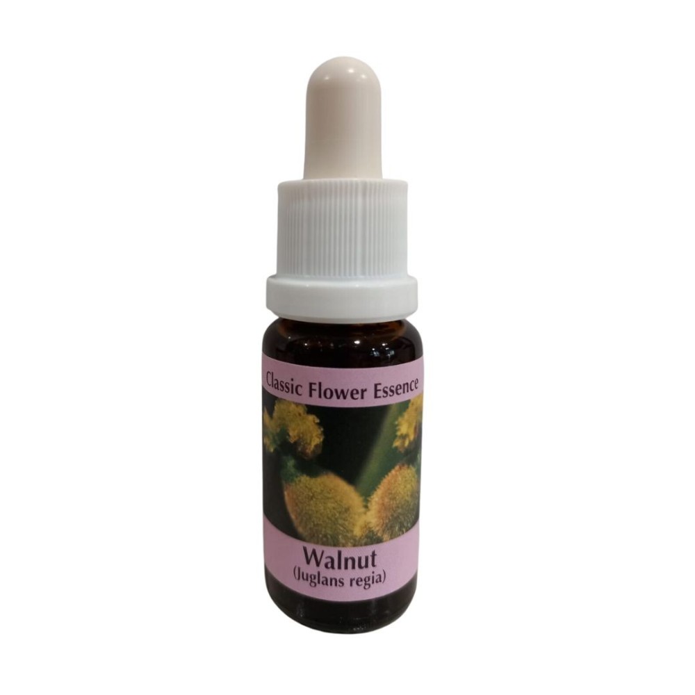 Nueces 15ml