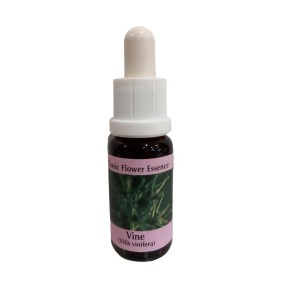 Bachblütenessenz Short - Vine 15 ml