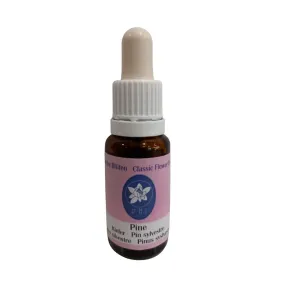 Kiefer 15ml