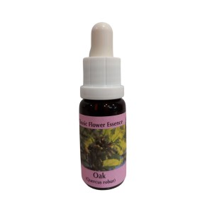 Esencia floral de Bach - Roble 15 ml