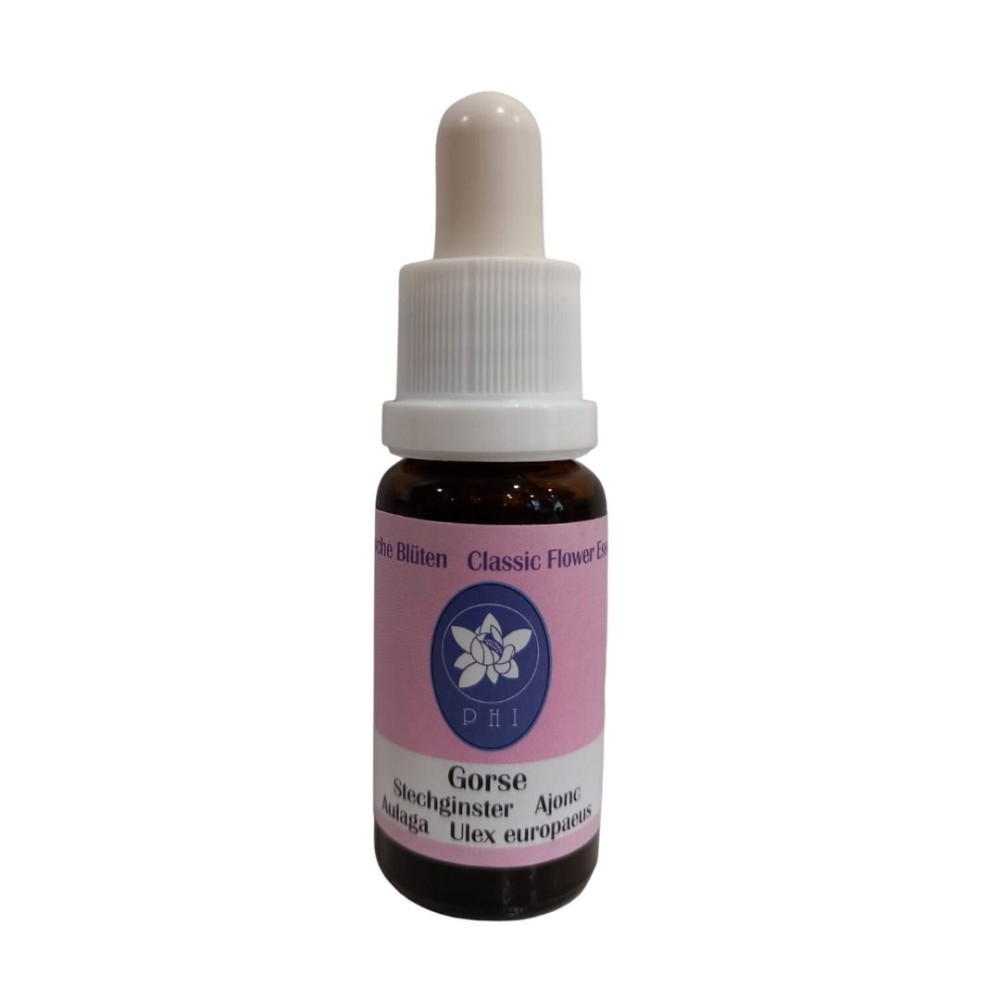 Ajonc 15 ml
