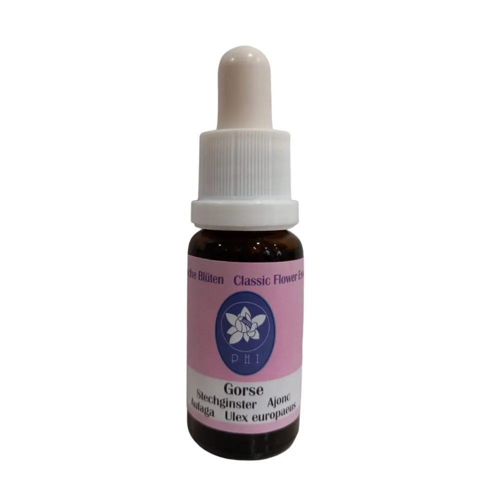 Ajonc 15 ml