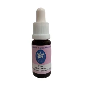 Ulme 15ml