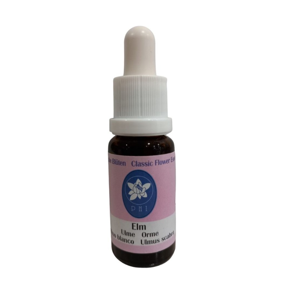 Ulme 15ml