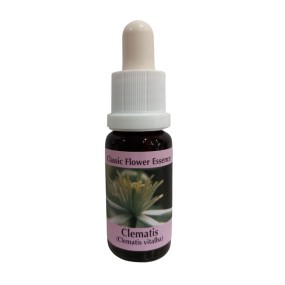 Esencia floral de Bach - Clemátide 15 ml