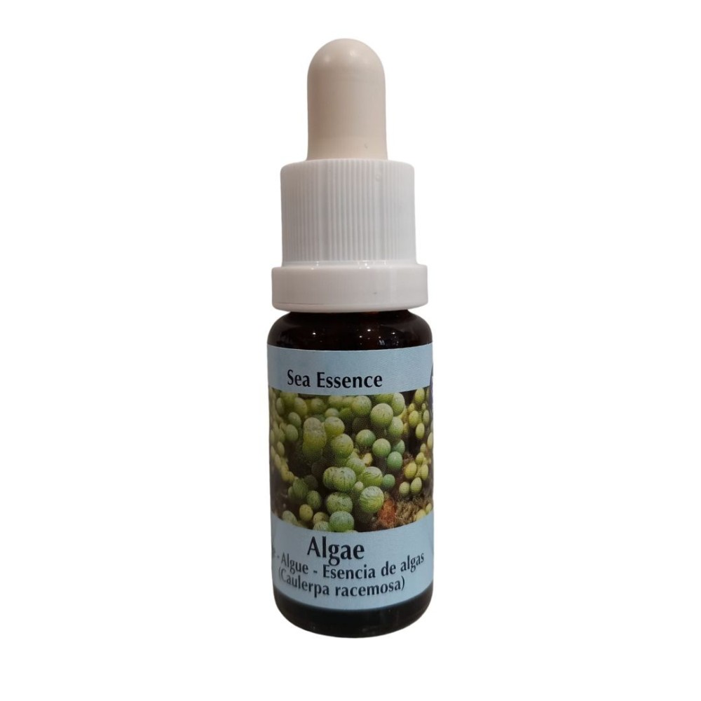 Alga 15 ml