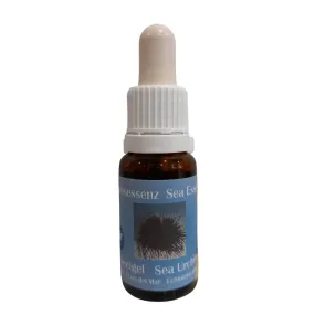 Tiara de erizo 15 ml