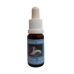 Korte Sea Essences - Echinoidea - Caracol de Mar 15 ml