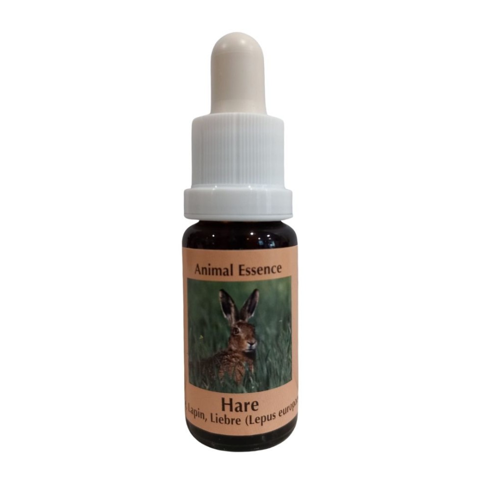 Lièvre 15ml