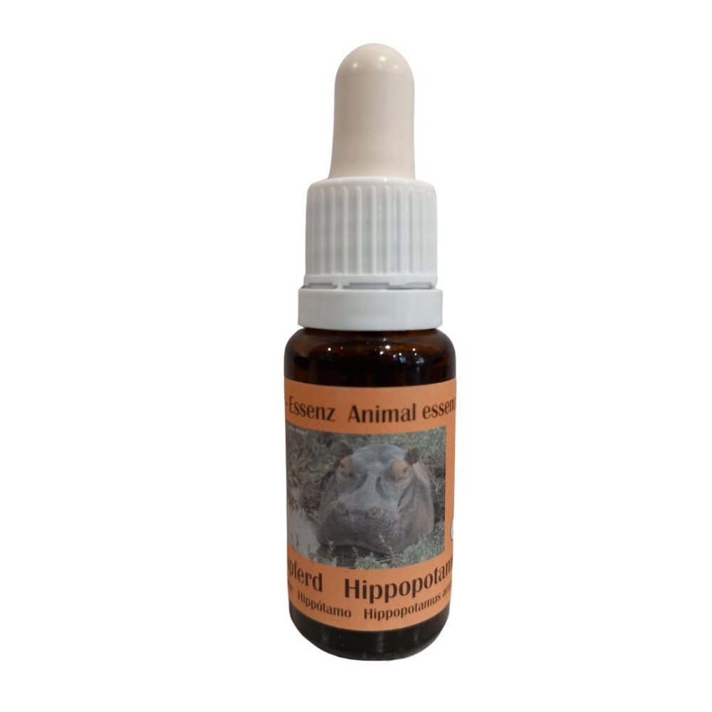 Hippopotame 15ml