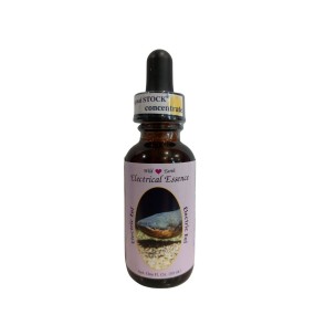 Esencia única Wild Earth - Anguila eléctrica 30 ml