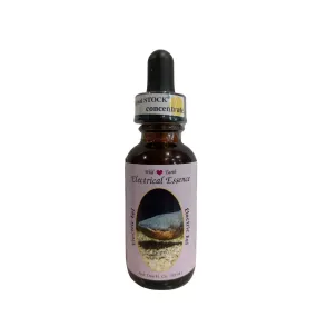 Elektrische Essenz (Zitrusaal) 30 ml