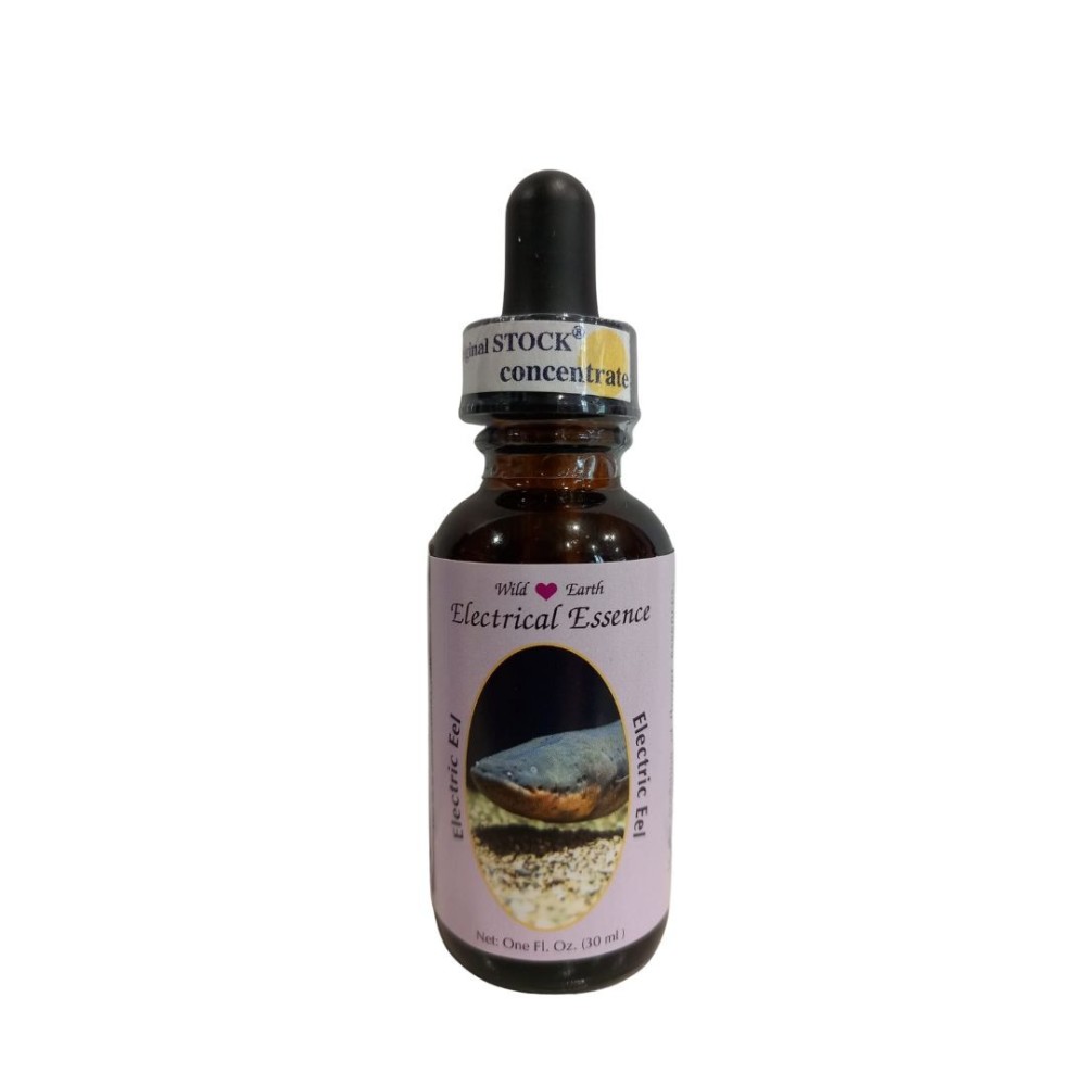 Elektrische Essenz (Zitrusaal) 30 ml