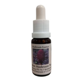 Amazon Mushroom Essence No. 1 15 ml