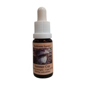 Esencia de Hongos Korte - Summer Cep 15 ml
