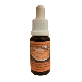 Esencia de Hongos Korte - Polypore Multizonificado 15 ml