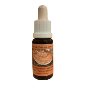 Polypore à plusieurs zones 15 ml