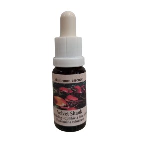 Esencia de hongo Korte - Velvet Shank 15 ml