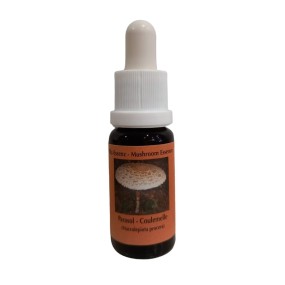 Esencia de Hongos Korte - Parasol 15 ml