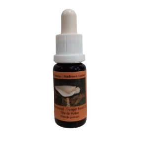 Essence de champignons Korte - Bouchon en forme d'entonnoir en trompette 15 ml