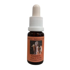 Essence de champignon Korte - Hercules Maze 15 ml