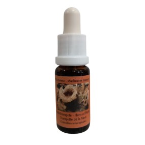 Horn of Plenty Mushroom Essence 15 ml