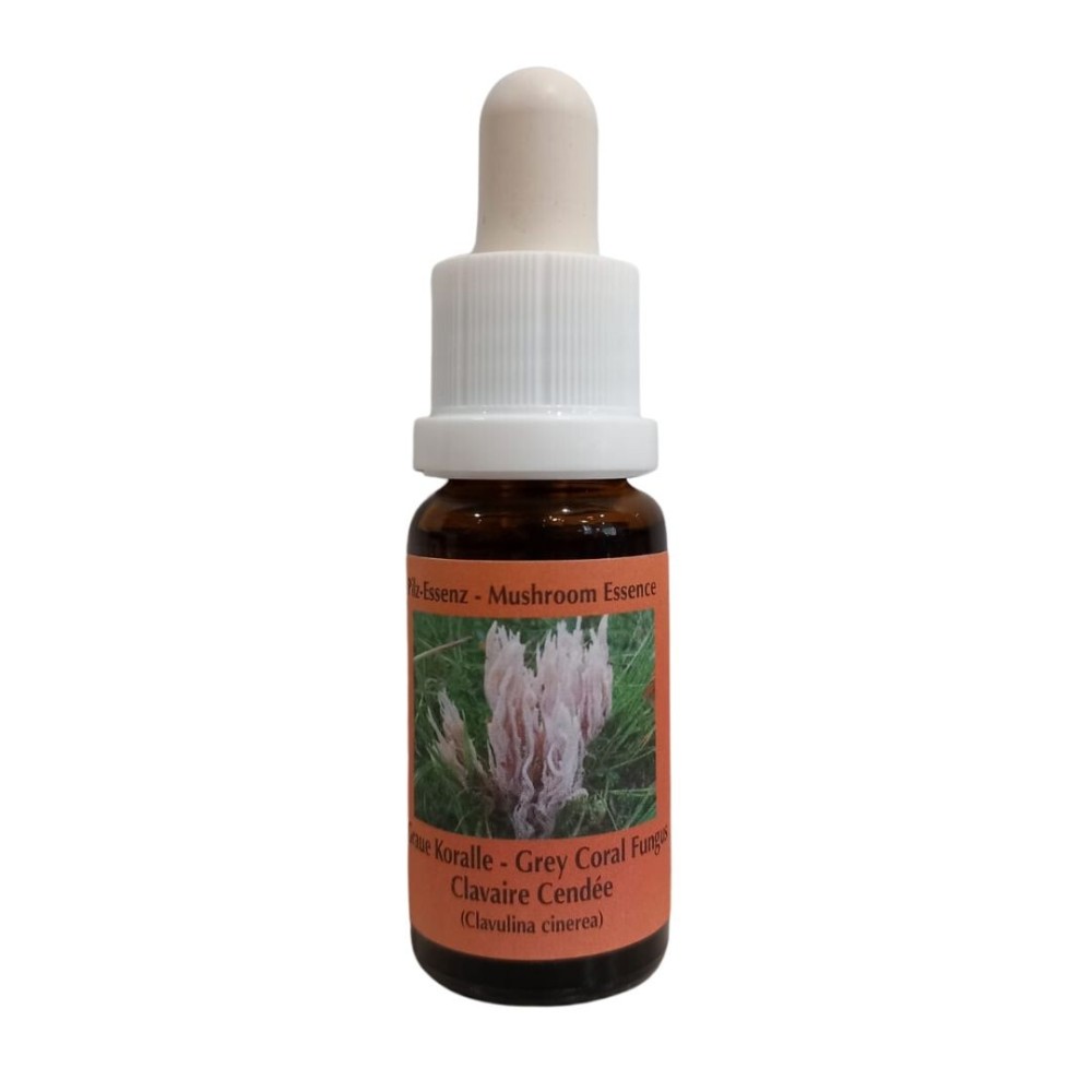 Gray Coral Fungus 15 ml