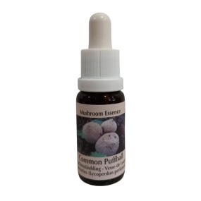 Essence de champignon Korte - Vesse-de-loup commune 15 ml