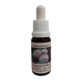 Vesse-de-loup commun 15ml