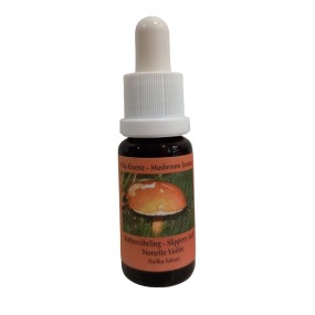 Esencia de hongo Korte - Slippery Jack 15 ml