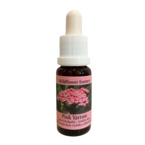 Korte Wildblütenessenz – Rosa Schafgarbe (Rosa Schafgarbe) 15 ml