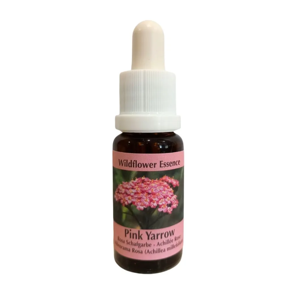 Pink Yarrow (Pink Yarrow) 15 ml