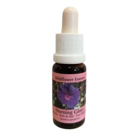 Korte Wildflower Essence - Morning Glory (Climbing Bell) 15 ml